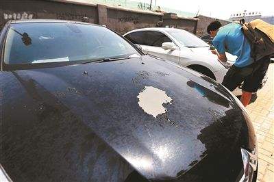 点击这里看大图